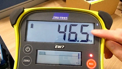 Tru-Test EziWeigh7i Weigh Scale Indicator